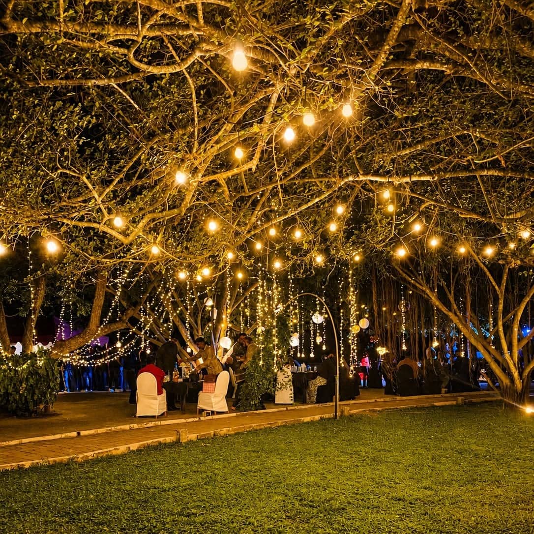 Garden lit with hanging string lights for an evening dinner