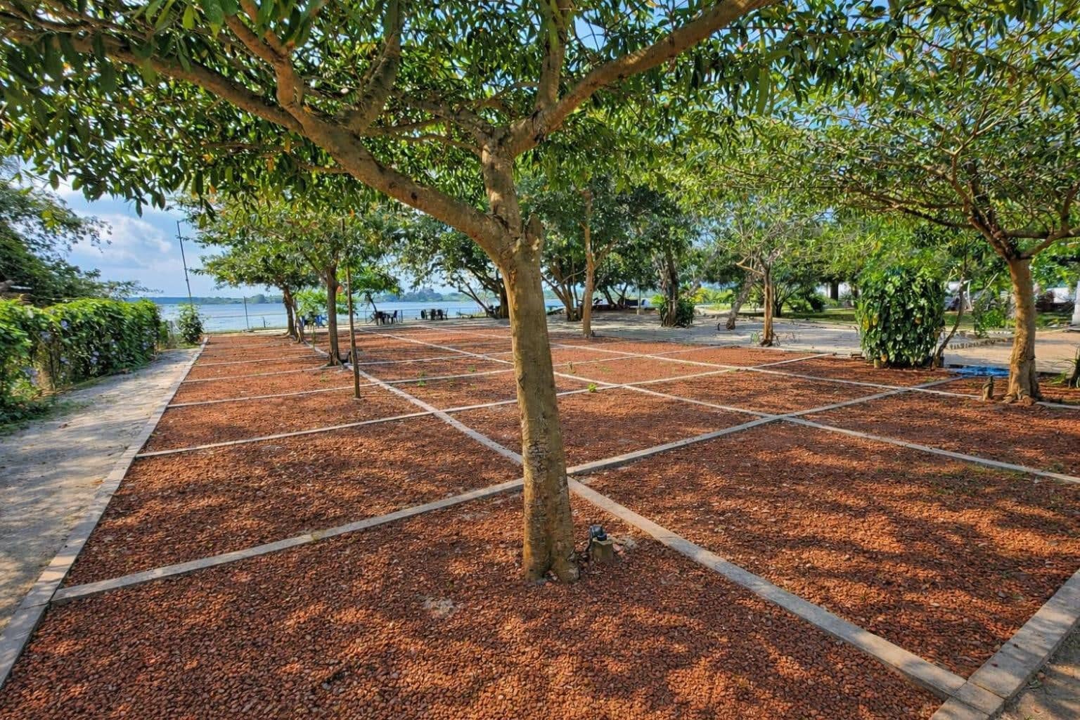 Shaded garden walkway under trees leading to the lake